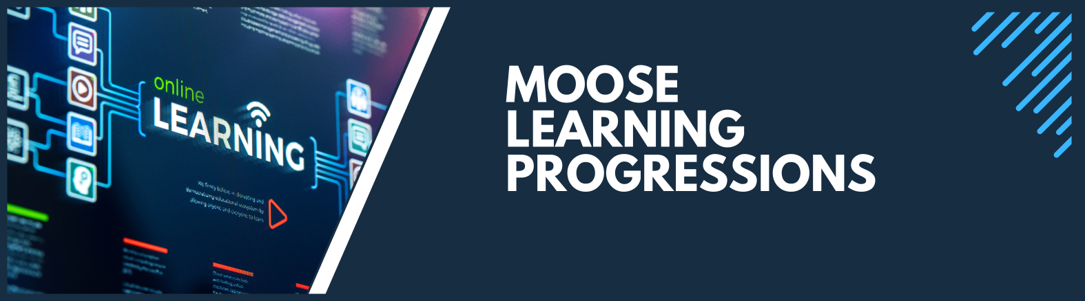 Learning Progressions Banner