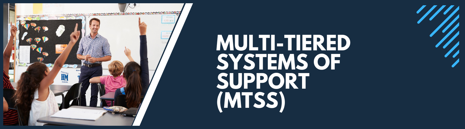 MTSS Banner