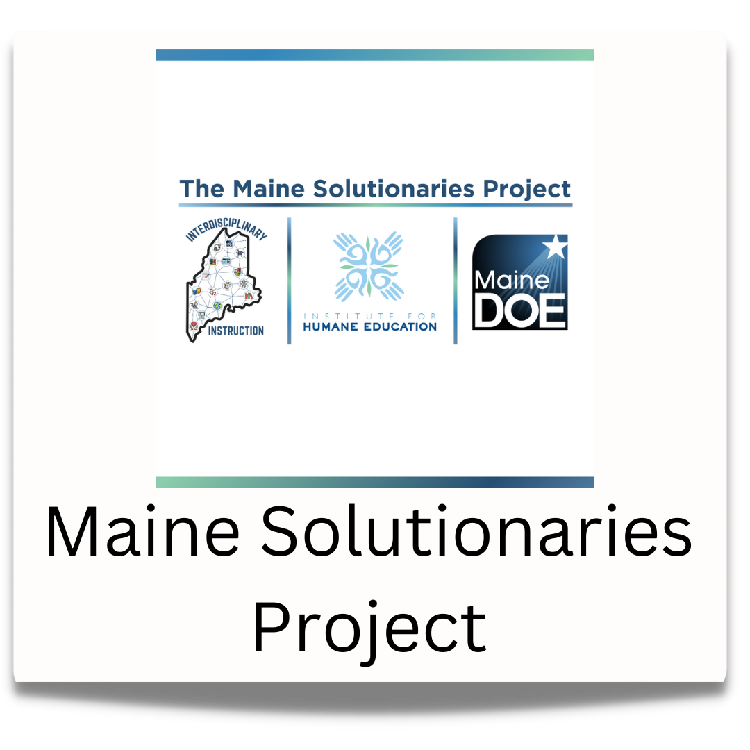 Maine Solutionaries Project button