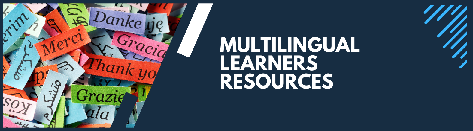 Multilingual Learners Resources Banner
