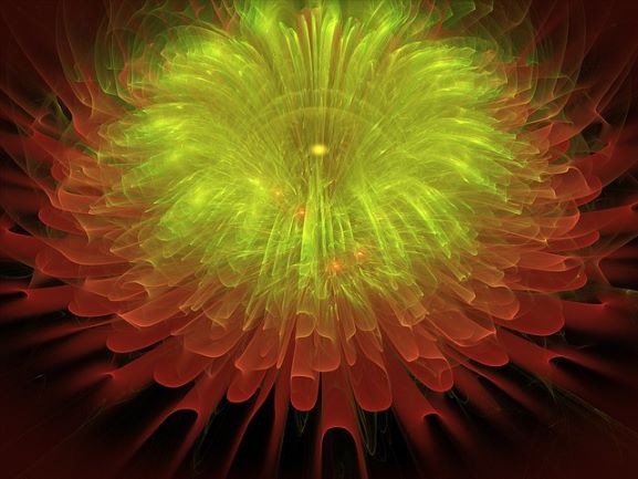 Red and Yellow Fractal Flower