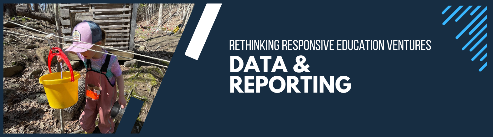 RREV Data and Reporting Web Banner