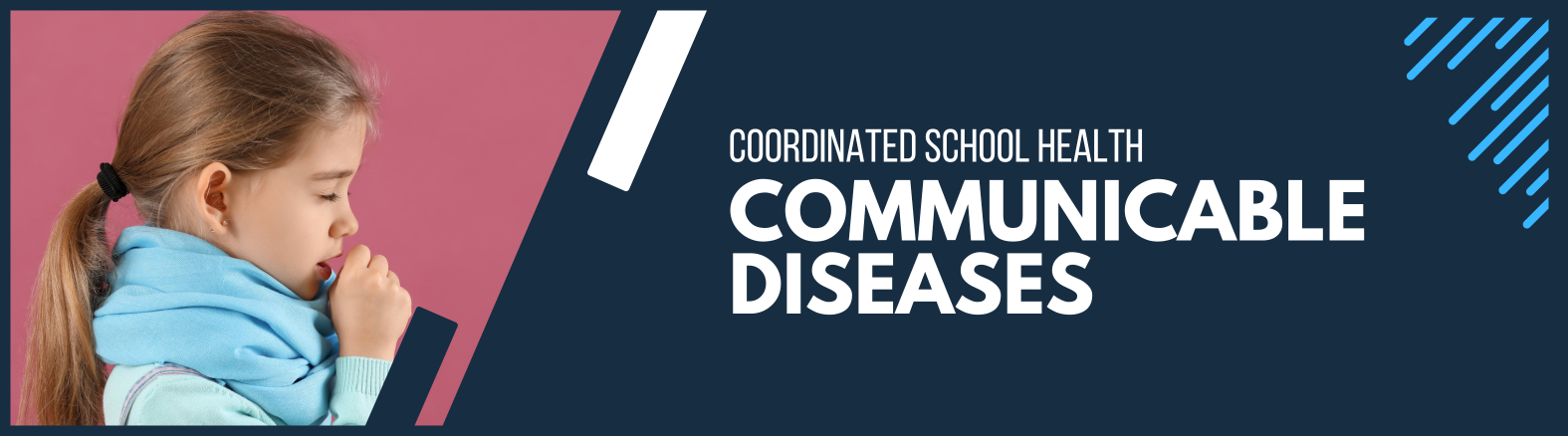 Communicable Diseases Web Banner