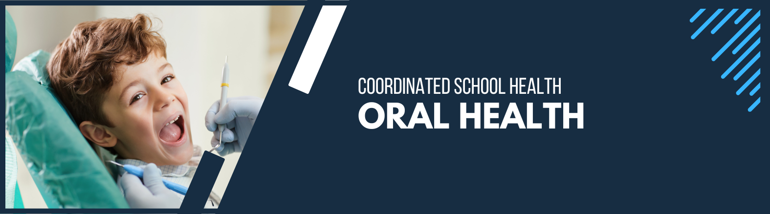 School Health - Oral Health Web Banner