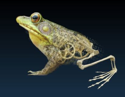 Image of a frog with gears and robotic rear legs