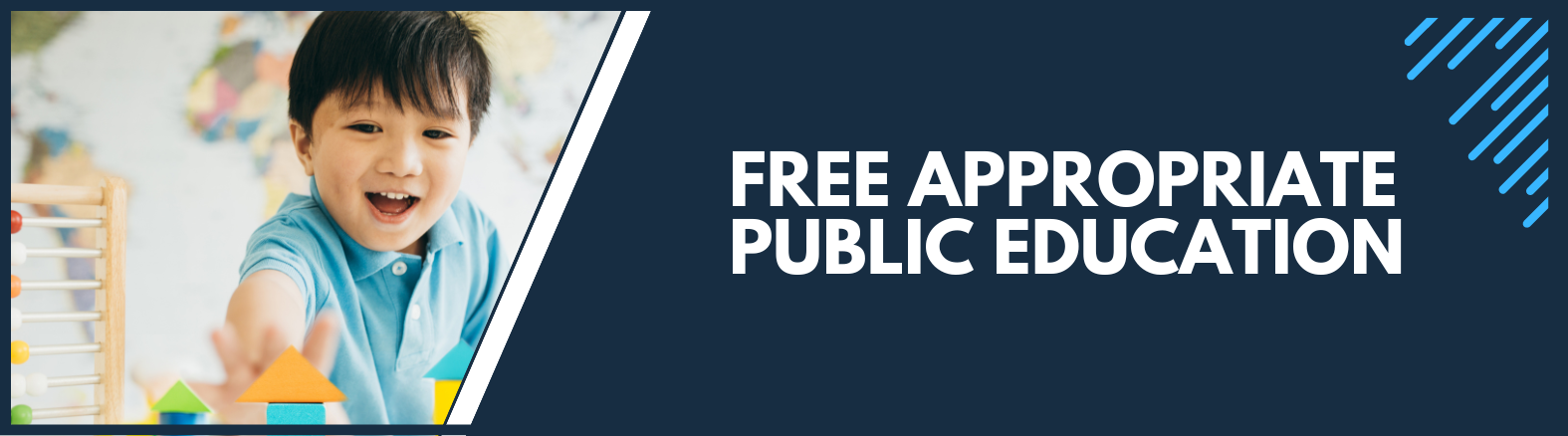 FAPE Web Banner