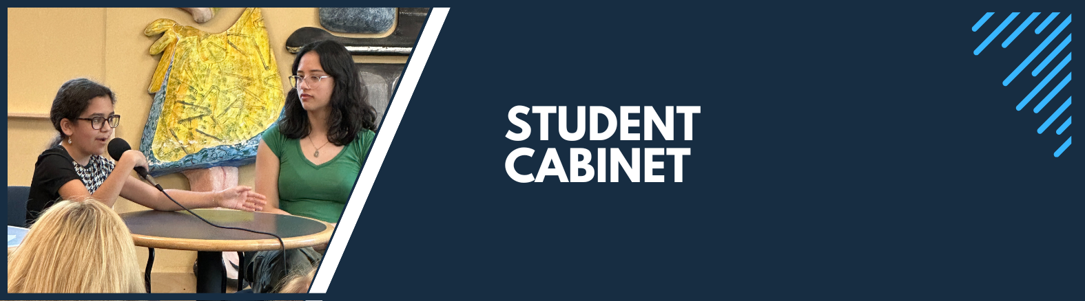 Student Cabinet Web Banner
