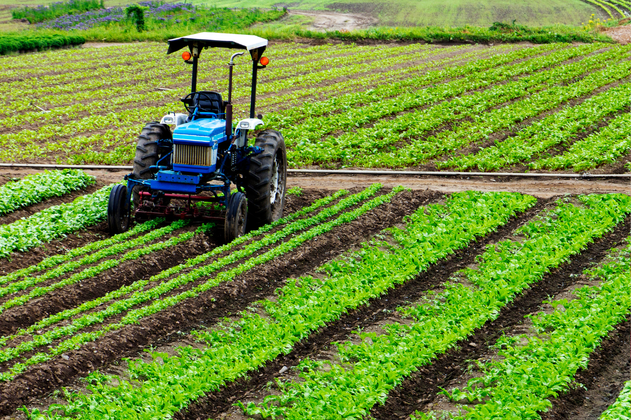 USDA Banner