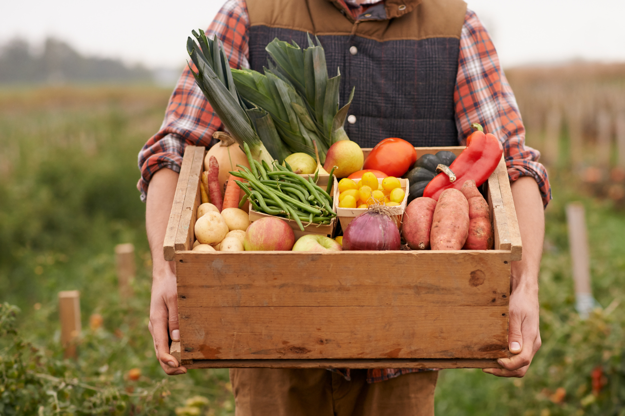 farm to sea to school banner