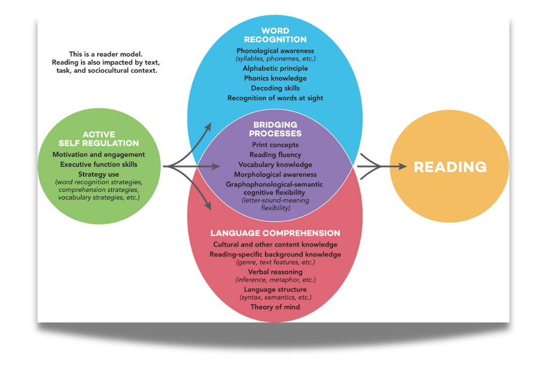 Diagram depicting the components of the Active View of Reading