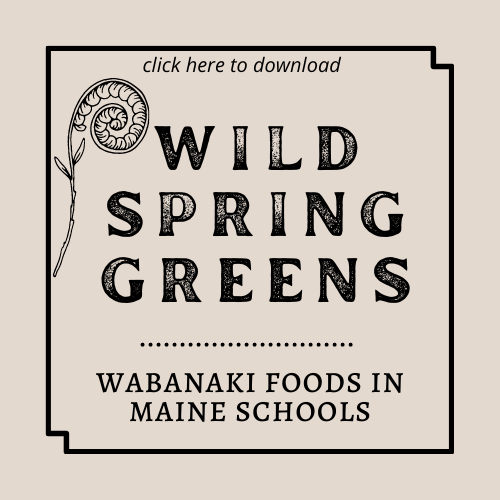 The cover of the Wild Spring Greens guide to Wabanaki Foods in Maine Schools