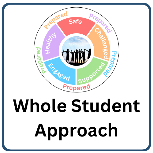 Student Centered Approach button