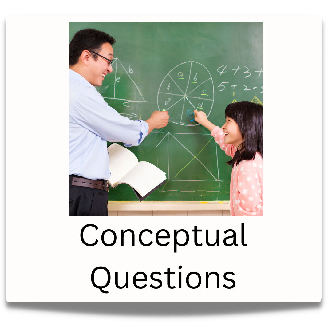 Conceptual Questions button.  Click to visit the Conceptual Questions professional learning page.