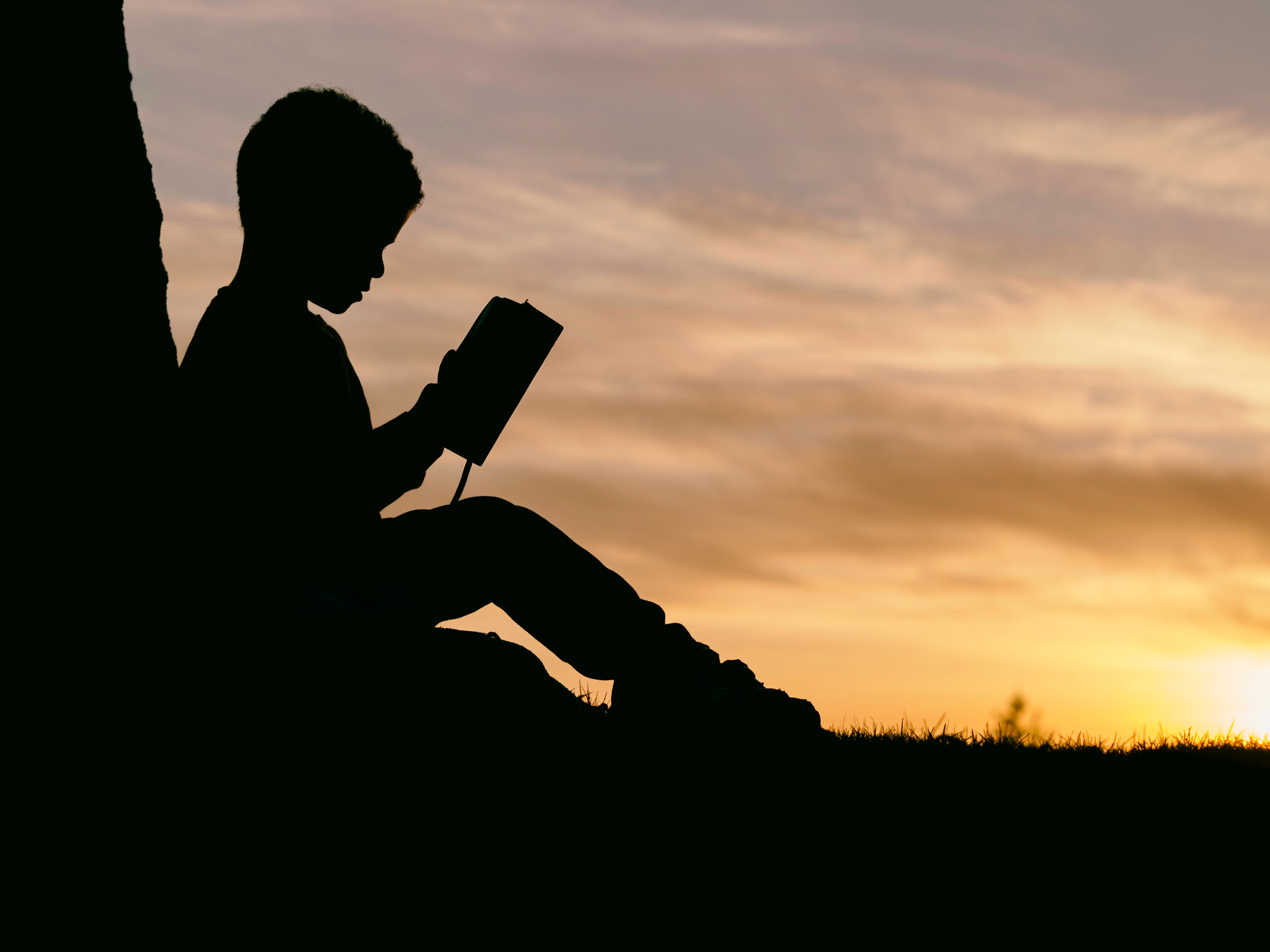 Profile of boy reading at sunset
