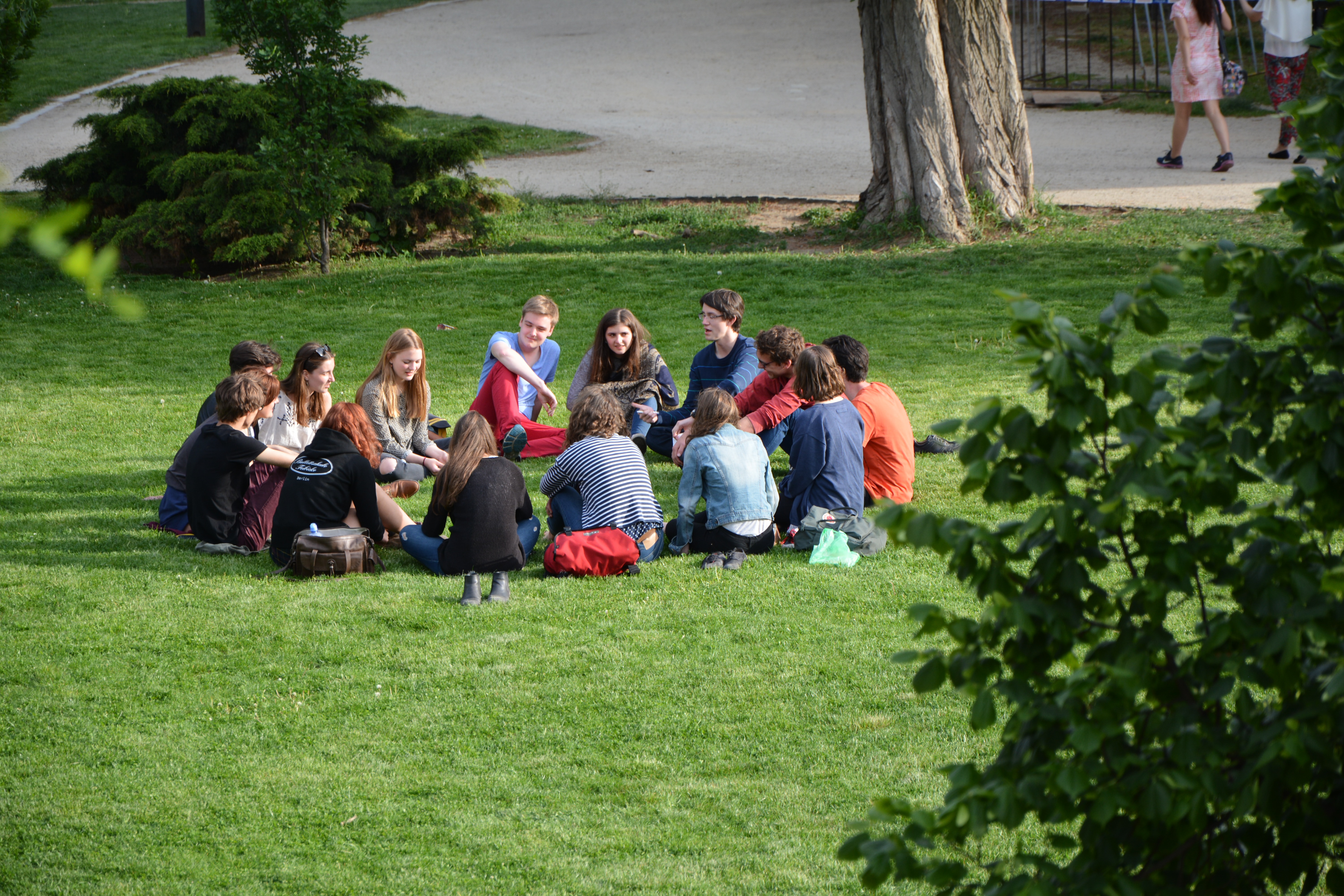 students sitting in a circle on the grass