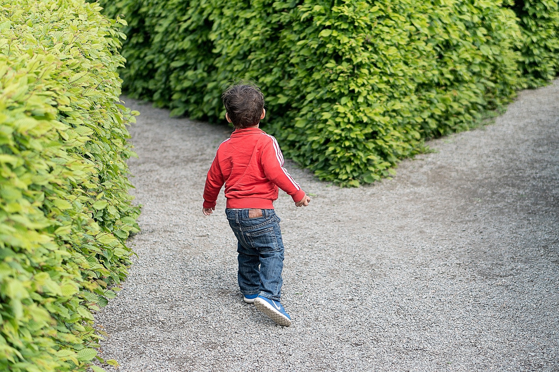 child at divergent paths