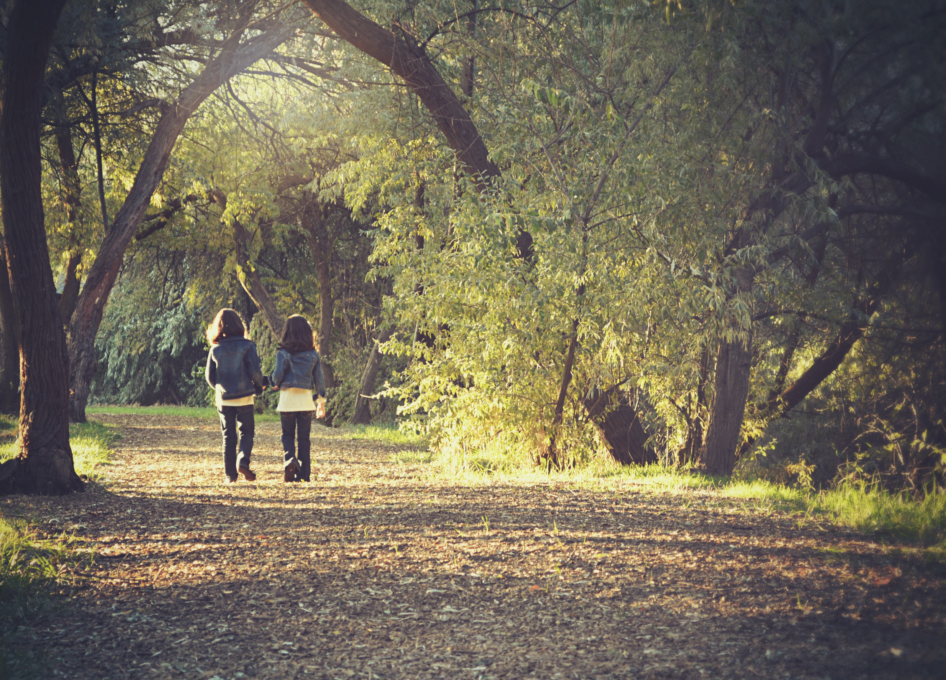 Children walking in Maine woods in Fall