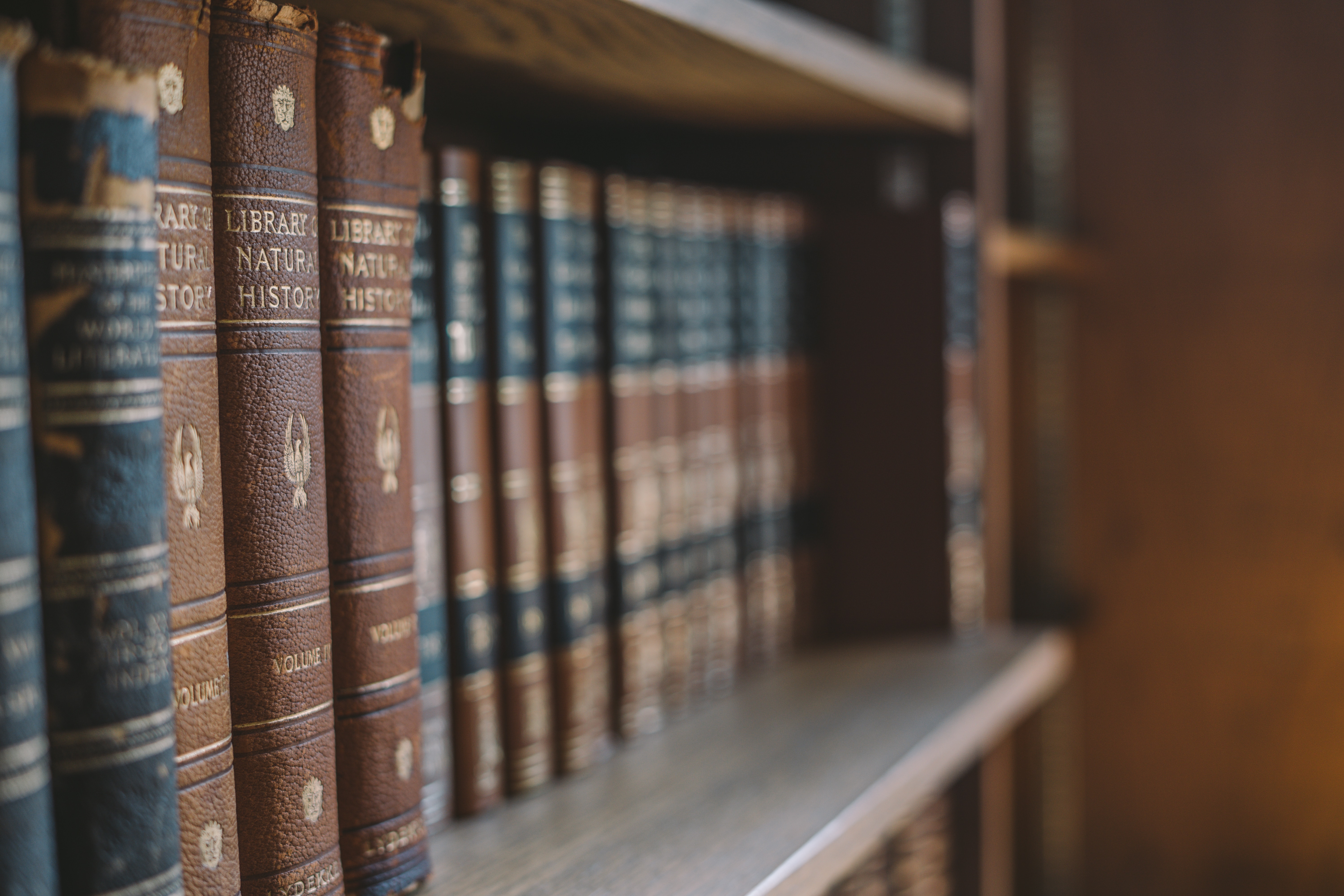 bookshelf filled with legal books