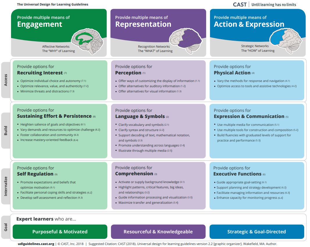 Universal Design for Learning Guidelines