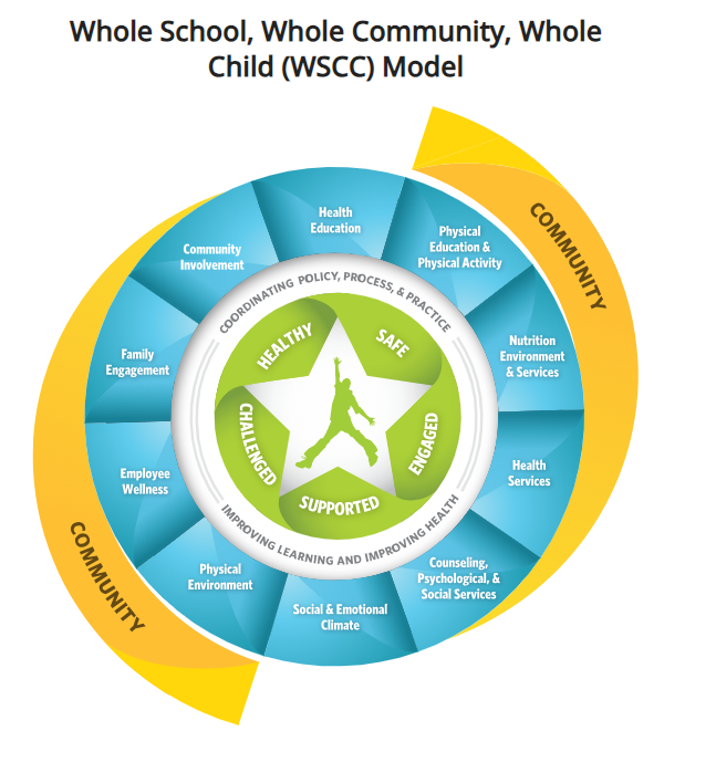 Whole Student Health Graphic