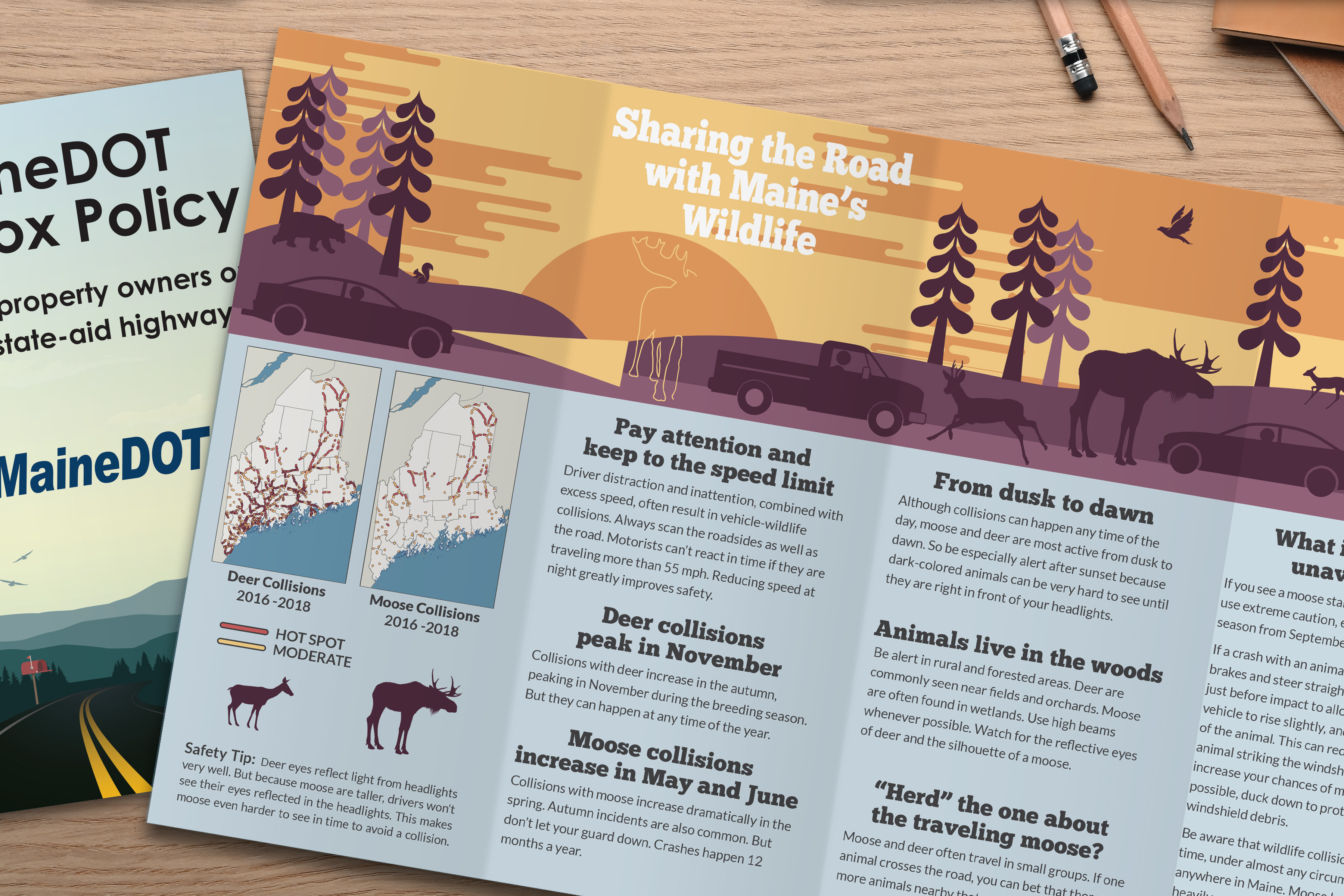 Brochures and Guides