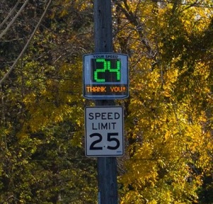 Sign Theft Blue Hill