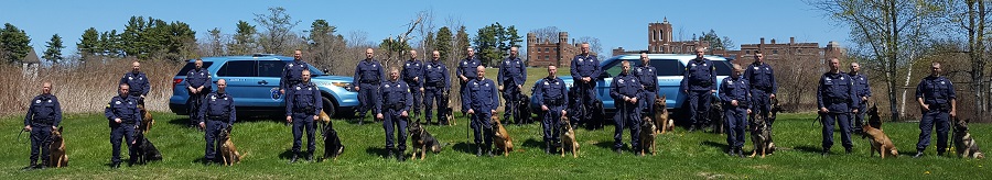 Group MSP Canine