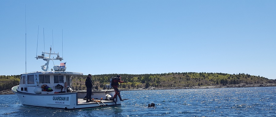 Dive Team