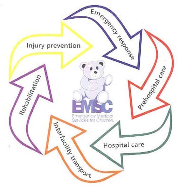 Components of EMS-C