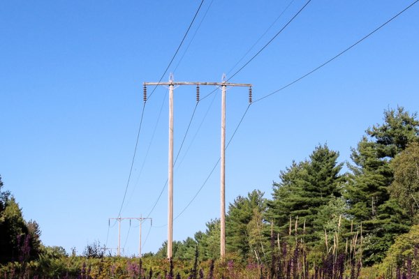 Power lines through the woods
