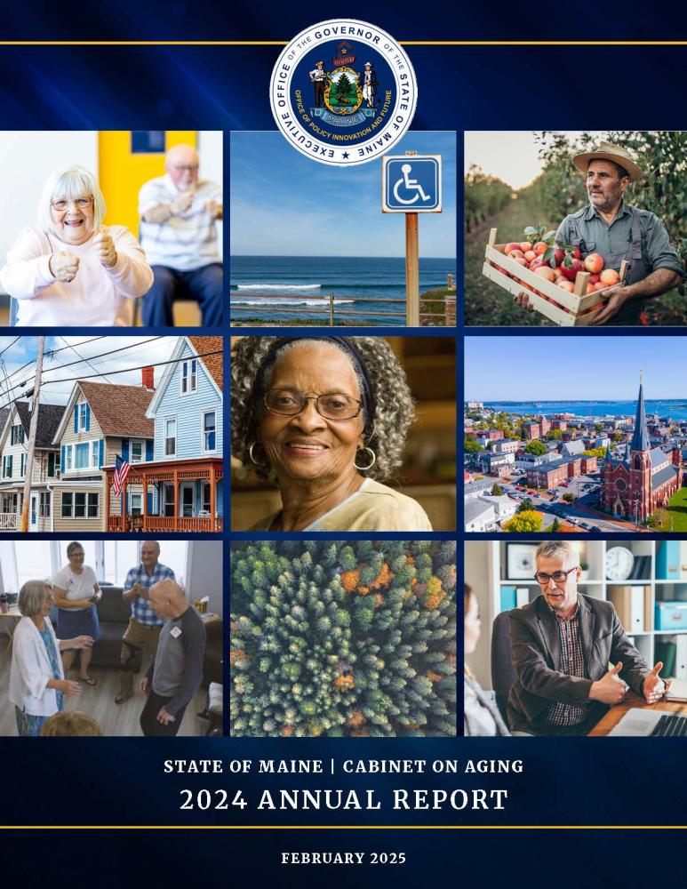 Cabinet on Aging Report 2024
