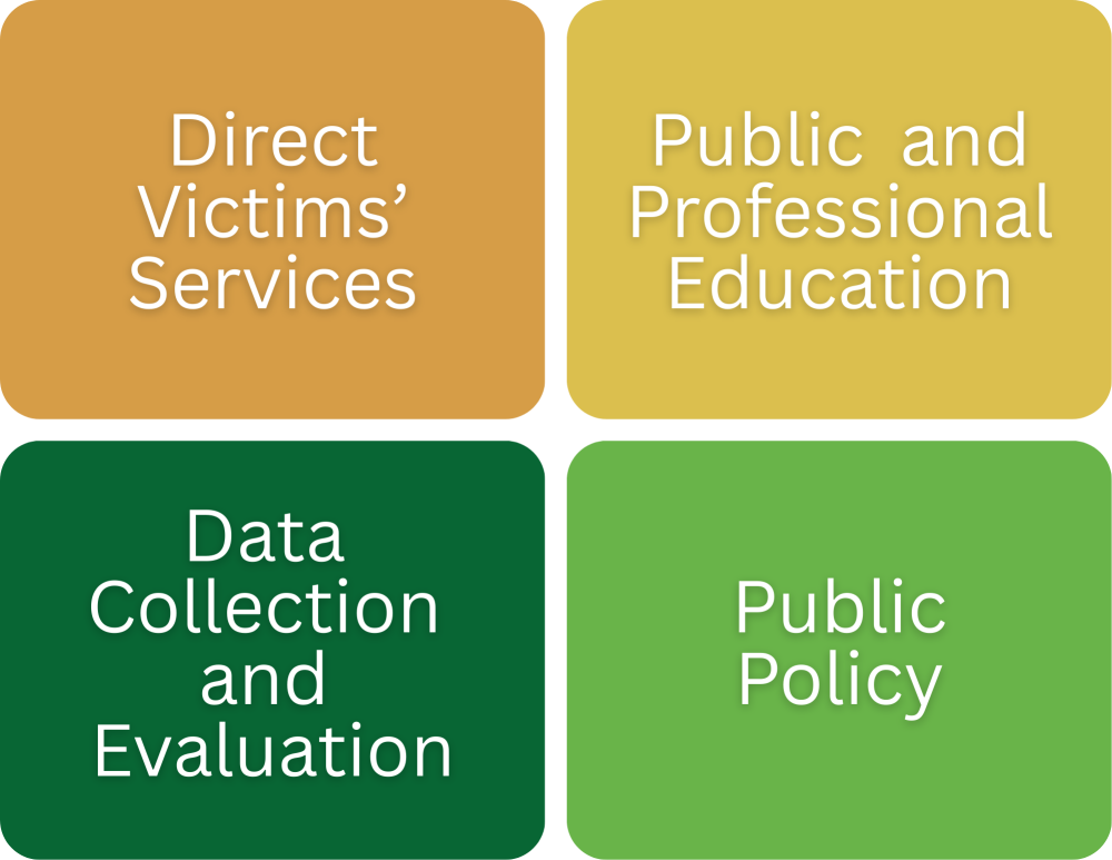 Elder Justice Roadmap 4 Main Focus Areas Direct Victims' Services Public and Professional Education Public Policy Data Collection and Evaluation