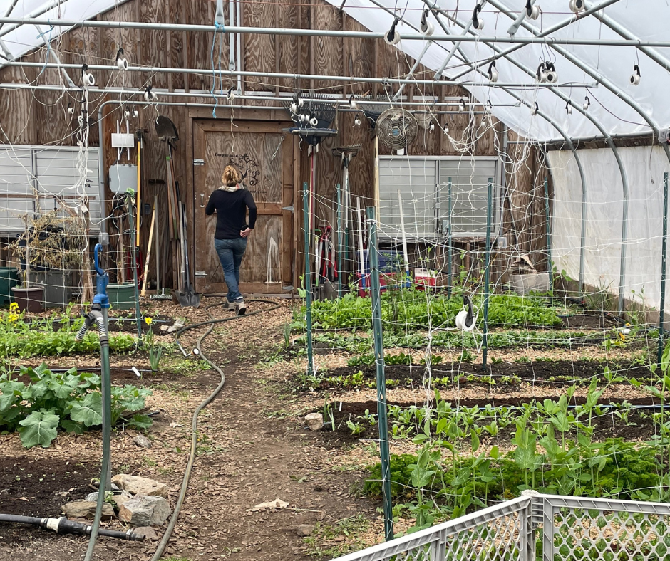 Maine farmer exiting a greenhouse.