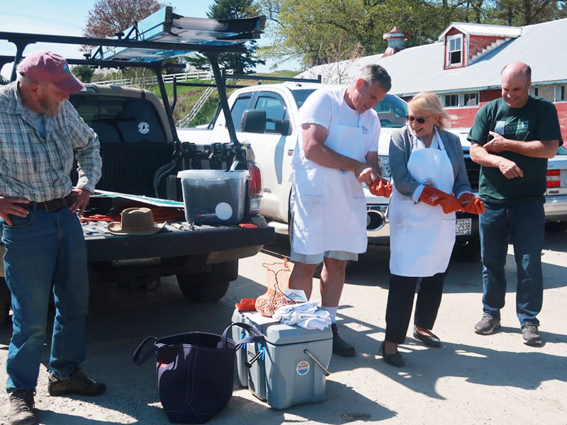 Gov. Mills shucks an oyster following aquaculture roundtable