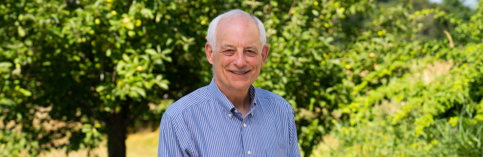 Rep. Runte