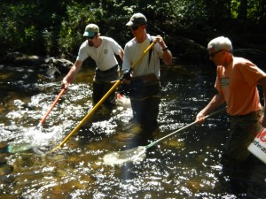 IFW biologists and NextEra Energy biologists electro-fish for young salmon