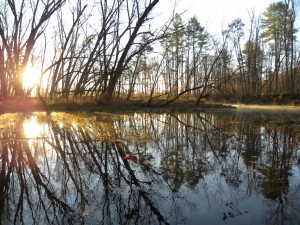 Little Andro reflections