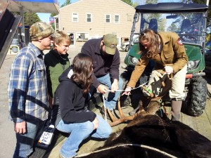 I show Unity College students how to measure antler spread. (Photo Credit: Regional Biologist Chuck Hulsey)