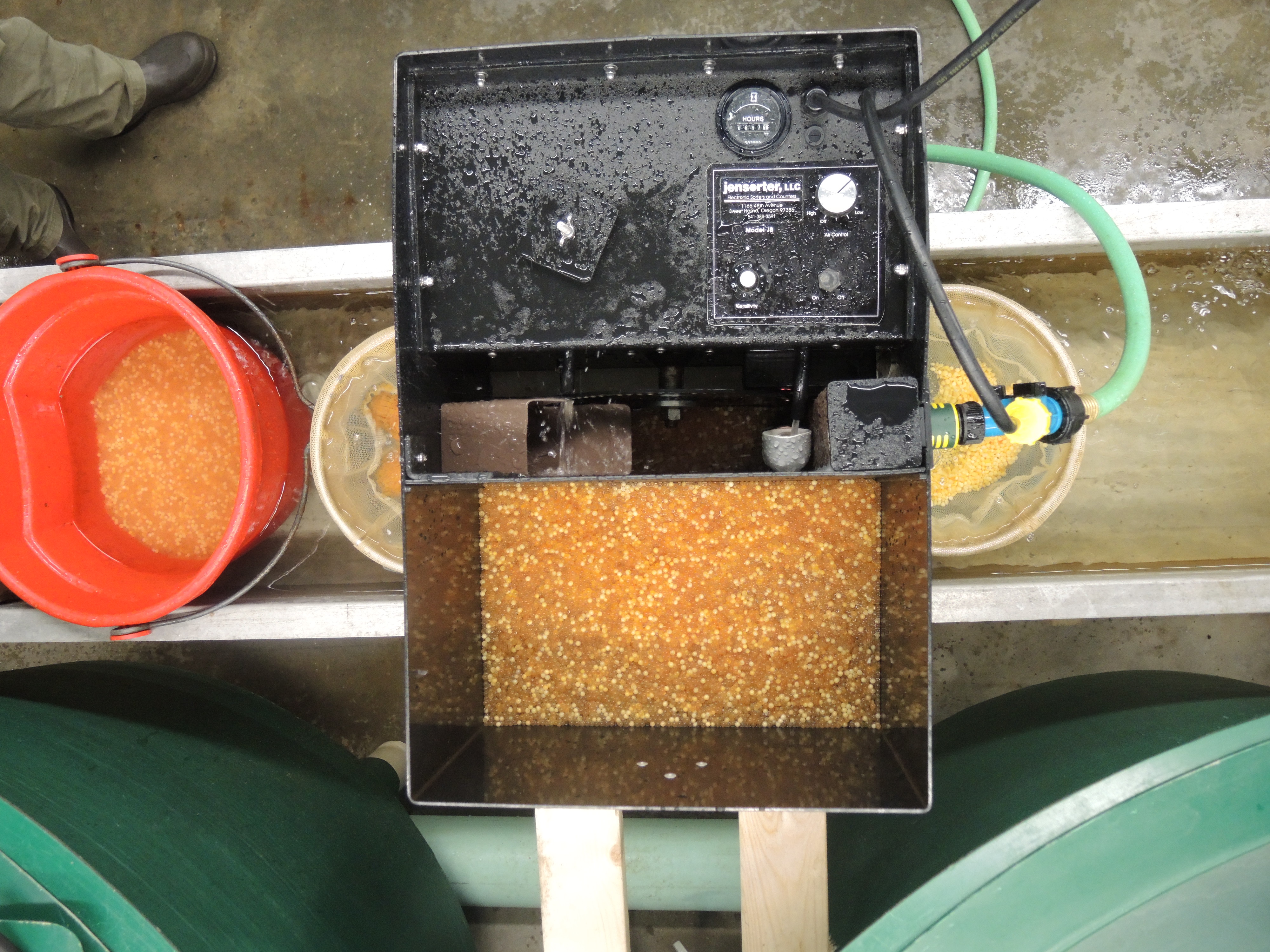 The hatchery version of the Egg-dicator. All eggs are deposited into the bin, sorted by an electric eye, then deposited into a "good" container and a "trash" container.