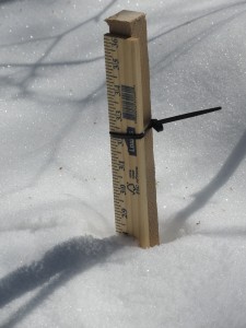 Snow depths are monitoried at several locations in a variety of forest habitats.