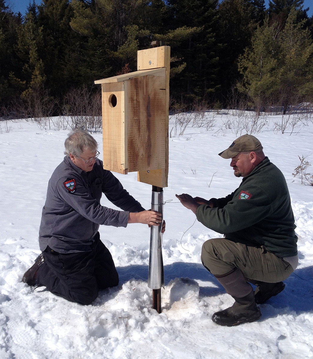 Regional Wildlife Biologist Chuck Hulsey and Fish and Wildlife Technician Paul Campbell apply predator guard