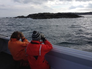 Floating survival suits are part of the uniform when conducting bird counts in Penobscot Bay during the winter