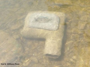 Artificial Rock Den for Eastern Hellbender -- Photo by Dr. Rod Williams