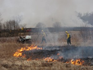 Prescribed burn. Photo by Scott Lindsay