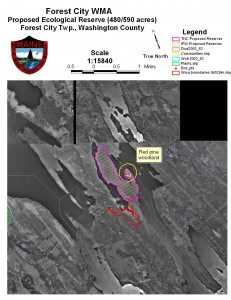 Located on the eastern edge of Maine in Forest City, Booming Ground WMA is a peninsula