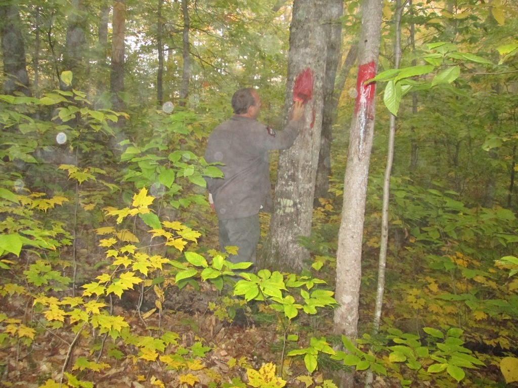 Marking the boundary line along Wildlife Managment Areas allows both abutting landowners and those provides benefits to both users and abutting landowners.