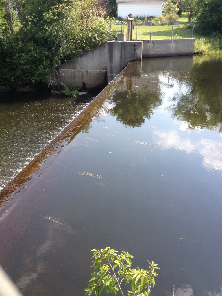 A dam on the south branch of the Meduxnekeag river has created some ideal waterfowld habitat.