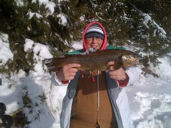 A nice Molasses Pond brown trout that was caught this winter.