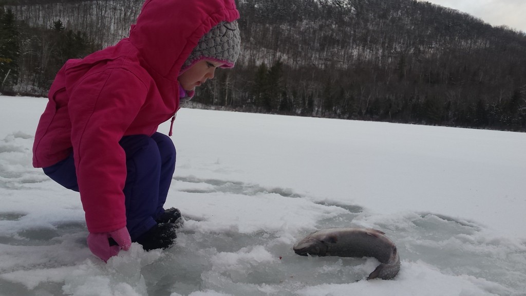 New opportunities for young anglers in the Rangeley Lakes Region had many kids out ice fishing this past winter.