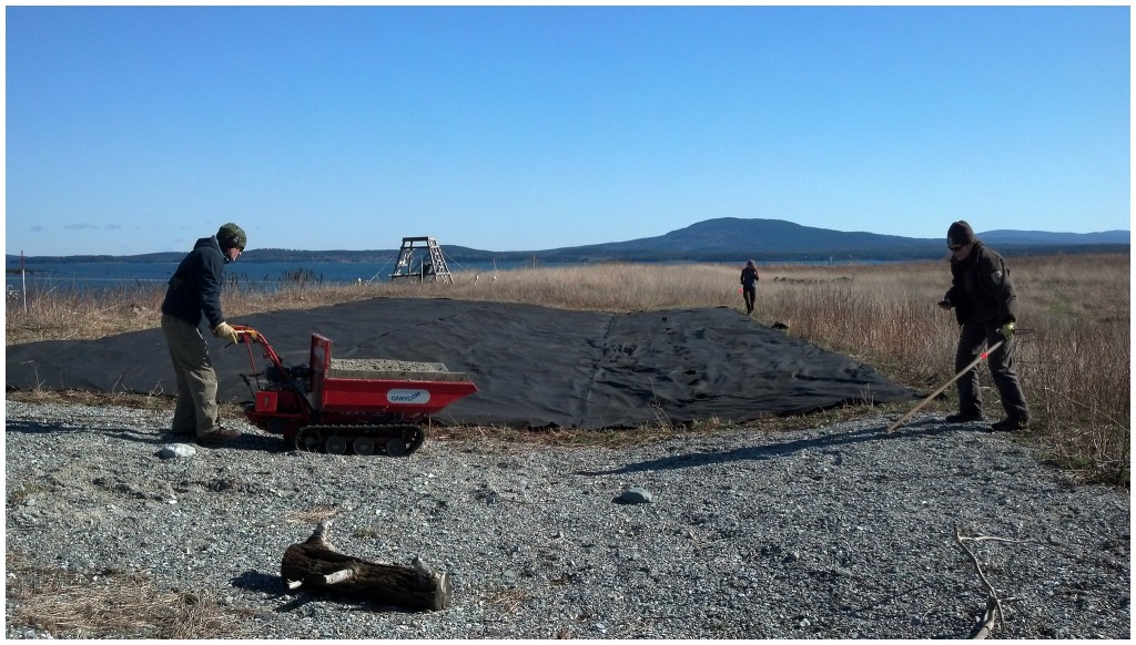 2016_S.Island_Volunteer and MCINWR Staff_WEB